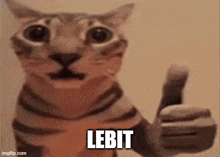 a close up of a cat giving a thumbs up with the word lebit written below it