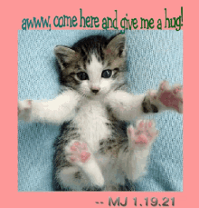 a picture of a kitten with the words " awww come here and give me a hug " above it