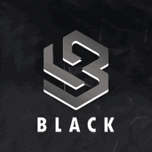 a logo for a company called black with a geometric design