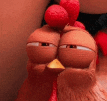 a close up of a chicken with its eyes closed and a red crest on its head .