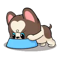 a brown and white dog is eating out of a blue bowl