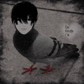 a pigeon with a person 's face on its head and the words de kirufe written below it