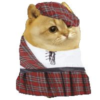 a doge wearing a plaid skirt and a hat