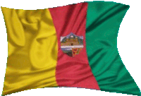 a yellow red and green flag with a coat of arms