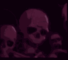 three skulls are standing next to each other in the dark