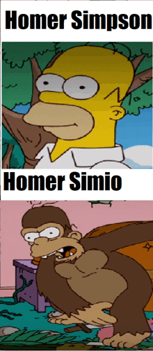 a picture of homer simpson next to a picture of homer simio