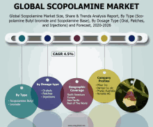 a global scopolamine market size share and trends analysis report by type scopolamine butyl bromide and scopolamine base