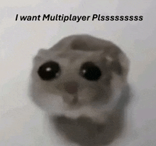 a hamster with a caption that says i want multiplayer plsssss