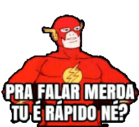 a sticker of the flash with the words `` pra falar merda tu e rapido ne '' .