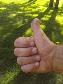 a man 's hand is giving a thumbs up in front of a lush green field