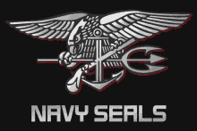 a logo for the navy seals with an eagle holding a trident