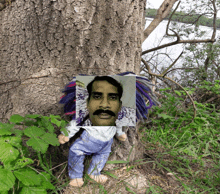 a picture of a man with dreadlocks is on a tree trunk