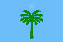 a green palm tree with a white star on top on a blue background