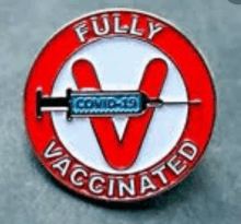 a fully vaccinated pin with a syringe in the middle of it .