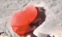 a close up of a red balloon floating in the air .