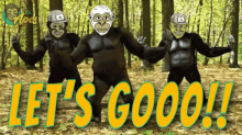 three gorillas are dancing in the woods with the words let 's goooo written below them