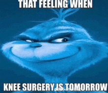 a picture of a grinch with the words that feeling when knee surgery is tomorrow