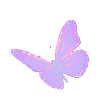 a pink and purple butterfly with white spots on its wings