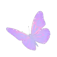 a pink and purple butterfly with white spots on its wings