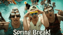 a group of young men are sitting in a swimming pool with the words spring break written on the bottom .