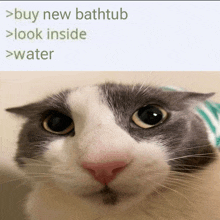 a close up of a cat 's face with the words buy new bathtub look inside and water below it