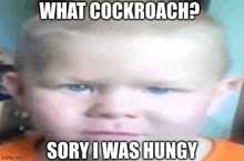 a baby making a funny face with the words what cockroach sorry i was hungry