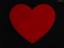 a red heart with a pink band around it is on a black object
