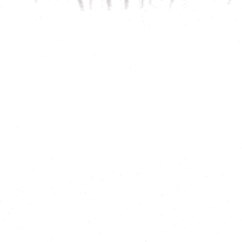 a job application for the army has a skeleton on it