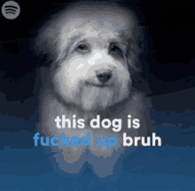 a black and white photo of a dog with the words " this dog is fucked up bruh "