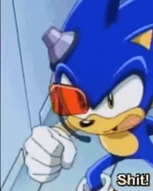 a cartoon of sonic the hedgehog wearing sunglasses and a helmet says shit