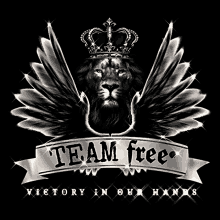 a picture of a lion with wings and a crown that says team free