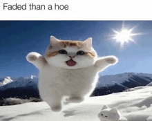 a cat with its tongue hanging out is running in the snow with the caption faded than a hoe