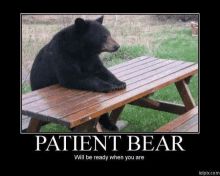 a bear sitting at a picnic table with a poster that says patient bear