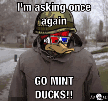 a duck wearing a helmet and 3d glasses says " i 'm asking once again go mint ducks "