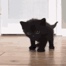 a small black kitten is walking on a wooden floor in front of a door .