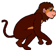 a brown monkey with a long tail is walking on a white background