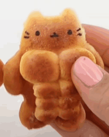 a person is holding a cookie in the shape of a cat .