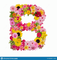 the letter b is made of colorful flowers on a white background .