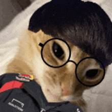 a close up of a cat wearing glasses and a black jacket