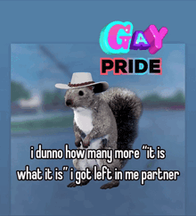 a picture of a squirrel wearing a cowboy hat with the words " proud to be gay pride "