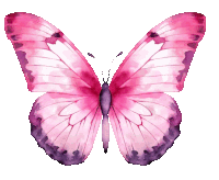 a pink butterfly with purple wings and a white background