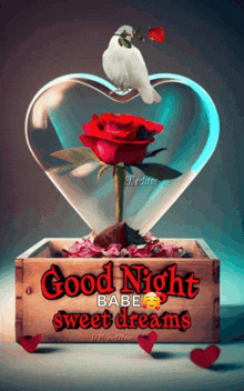 a good night babe sweet dreams card with a heart shaped vase with a red rose inside of it