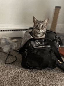 a cat is sitting in a black camouflage bag