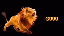 a lion is running on a black background with the word g999 in the background .