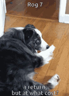 a black and white dog laying on a wooden floor with the words " a return but at what cost " above it