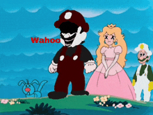 a cartoon of mario princess peach and luigi with the word wahoo on the bottom