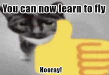 a cat is giving a thumbs up with the words " you can now learn to fly hooray "