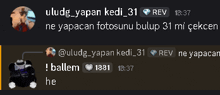 a screenshot of a text message between uludg_yapan_kedi_31 and ballem 1881