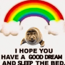 a seal is sitting under a rainbow and says `` i hope you have a good dream and sleep the bed . ''