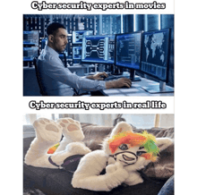 a picture of a man sitting at a desk and a picture of a furry laying down